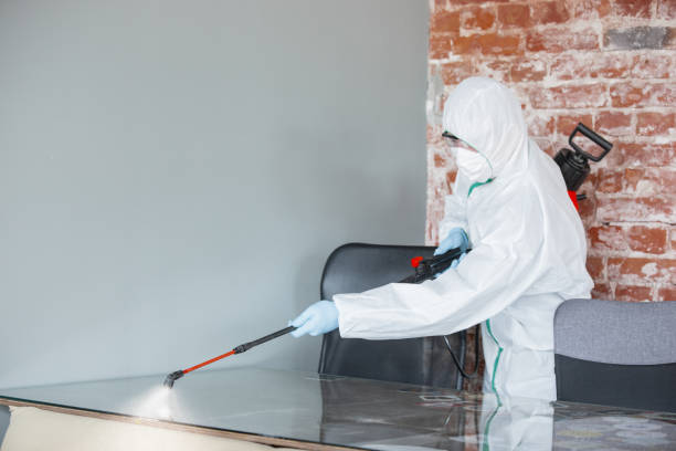 Reliable Pistakee Highlands, IL Mold Removal & Remediation Solutions